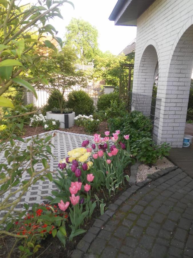 فندق Boarding-Haus, Ostercappeln المظهر الخارجي الصورة